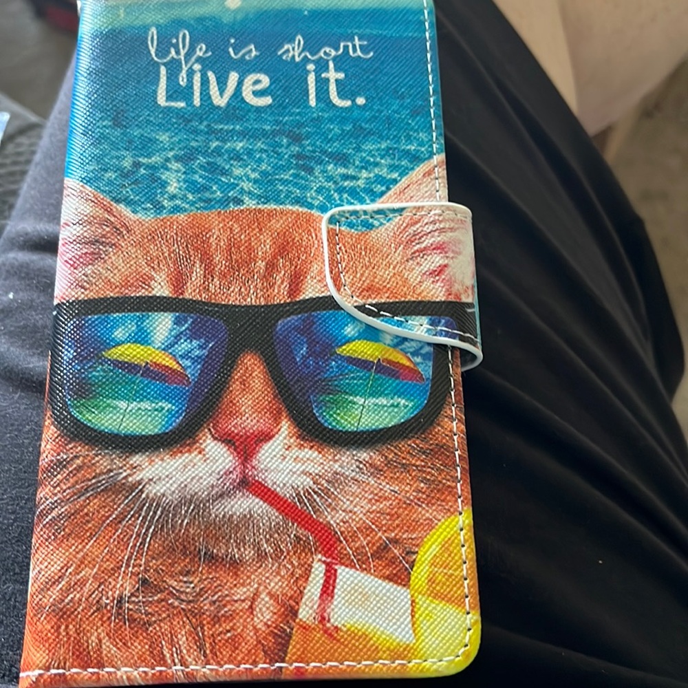 iPhone 13 MAX case
